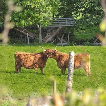 Stunning In With Sauna Holiday home *
