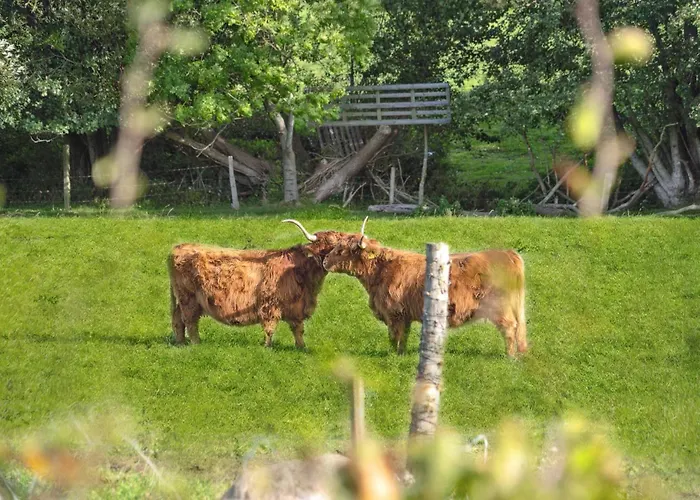 Stunning In With Sauna Vakantiehuis *